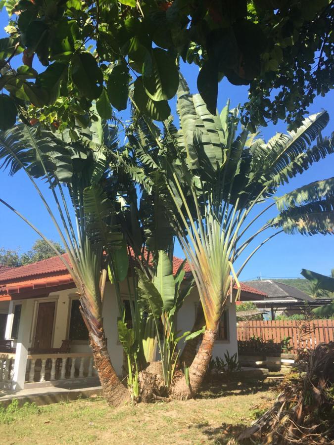 Samui Garden Resort Bangrak Kültér fotó