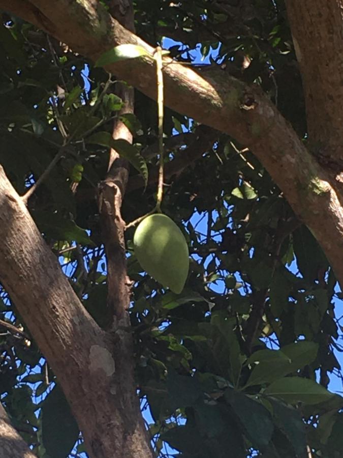Samui Garden Resort Bangrak Kültér fotó