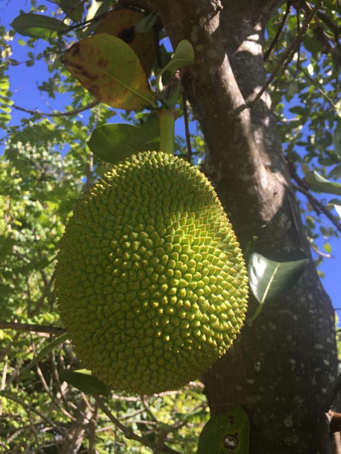 Samui Garden Resort Bangrak Kültér fotó