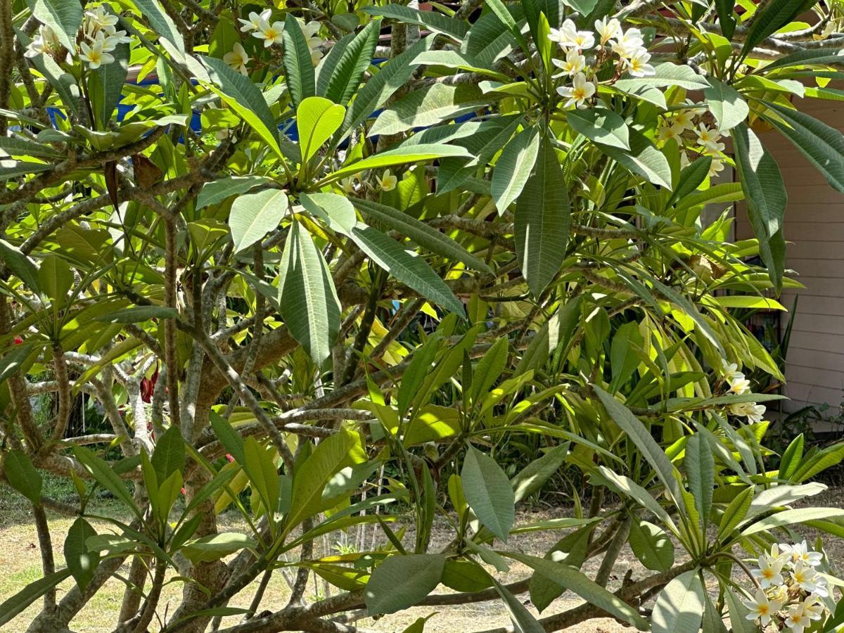 Samui Garden Resort Bangrak Kültér fotó