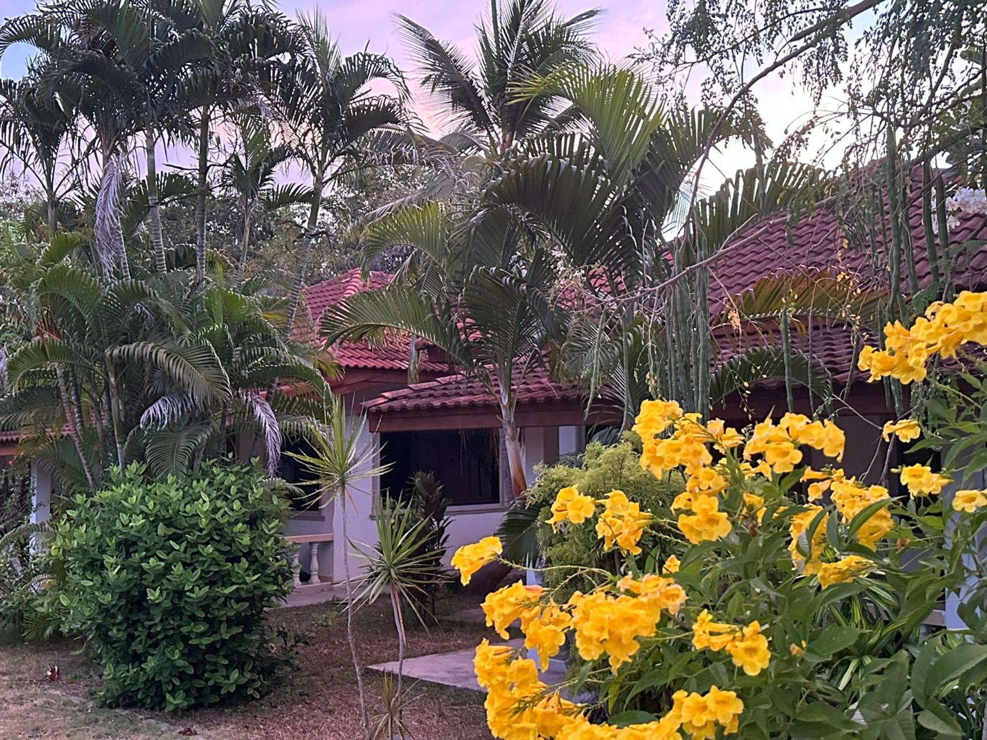 Samui Garden Resort Bangrak Kültér fotó