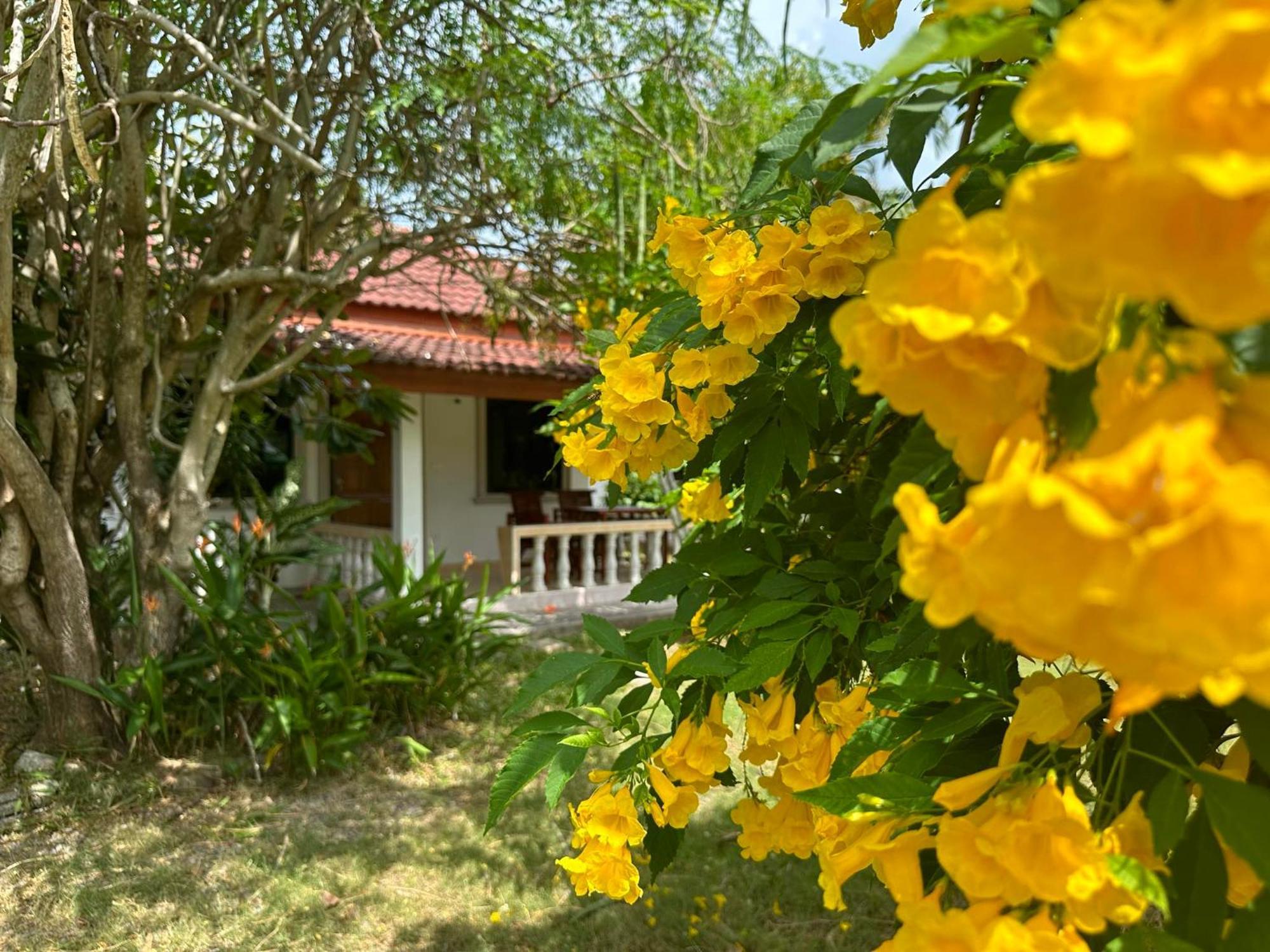 Samui Garden Resort Bangrak Kültér fotó