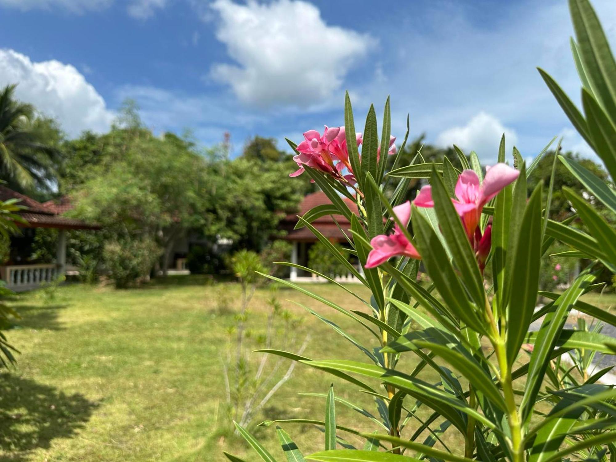 Samui Garden Resort Bangrak Kültér fotó