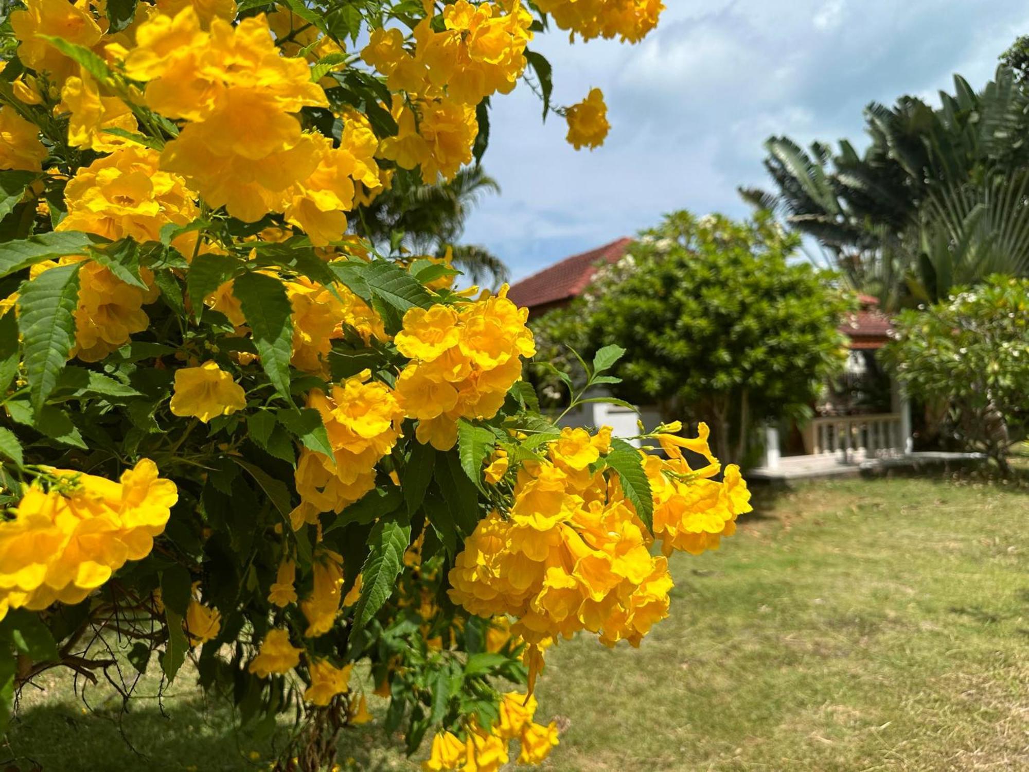 Samui Garden Resort Bangrak Kültér fotó