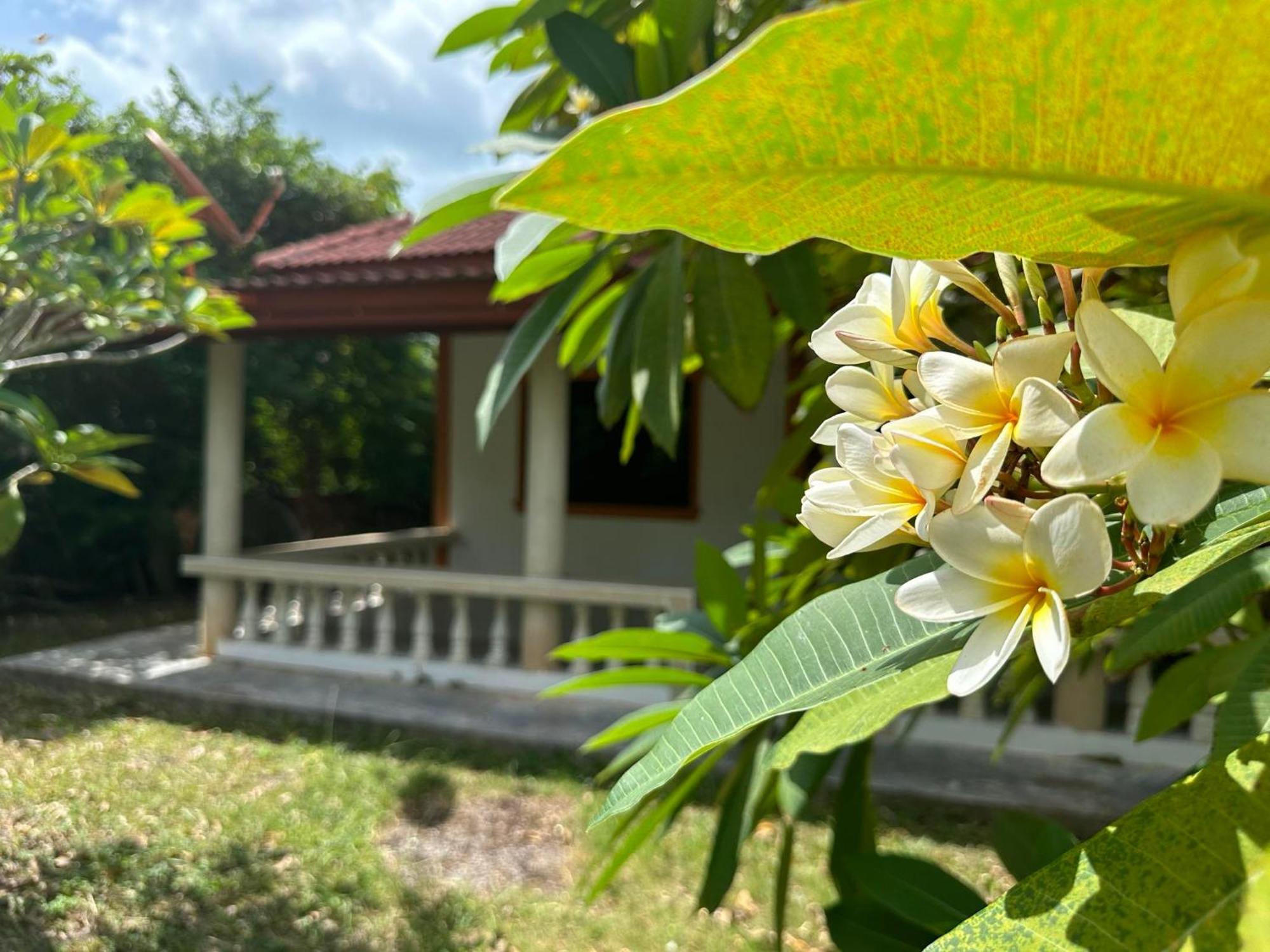 Samui Garden Resort Bangrak Kültér fotó