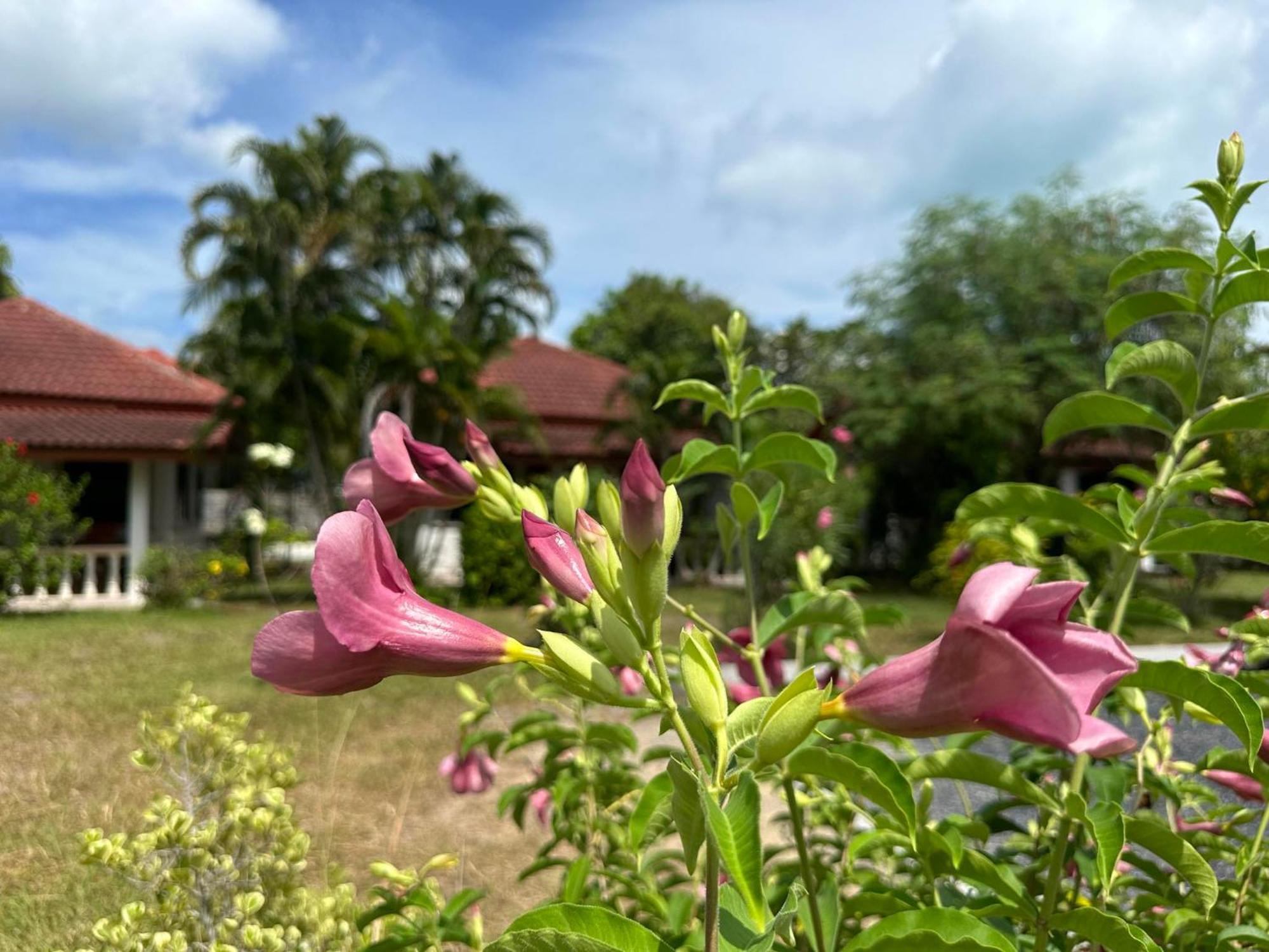 Samui Garden Resort Bangrak Kültér fotó