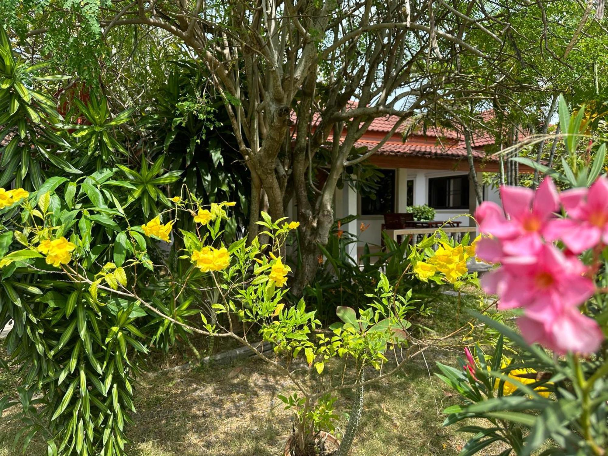 Samui Garden Resort Bangrak Kültér fotó
